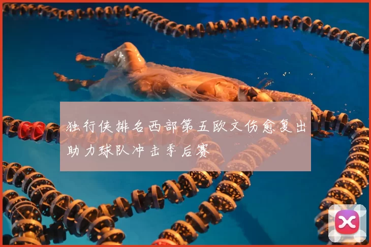 独行侠排名西部第五欧文伤愈复出助力球队冲击季后赛